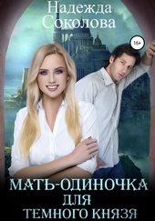 Обложка книги Мать-одиночка для Темного Князя