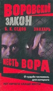 Обложка книги Месть вора