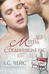 Обложка книги Метель, соединившая нас (ЛП)