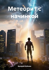 Обложка книги Метеорит с начинкой
