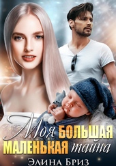 Обложка книги Моя большая маленькая тайна