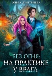 Обложка книги На практике у врага (СИ)